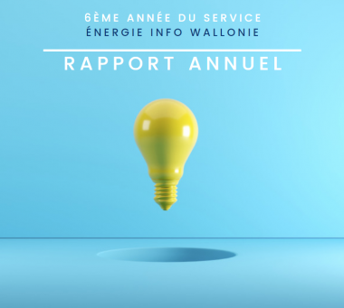 rapport annuel 2019